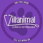 Clínica Veterinaria Villanimal